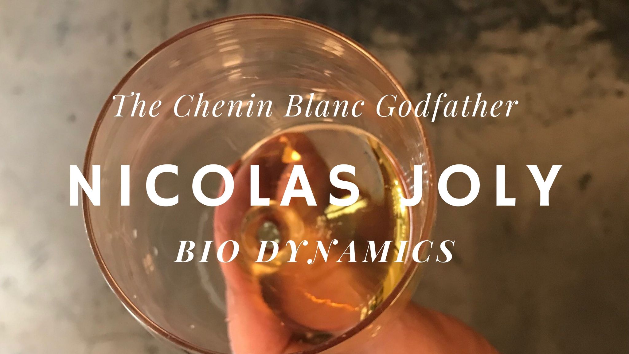 Nicolas Joly Wines