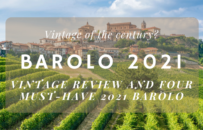 Barolo 2021 Vintage Guide and Cellaring